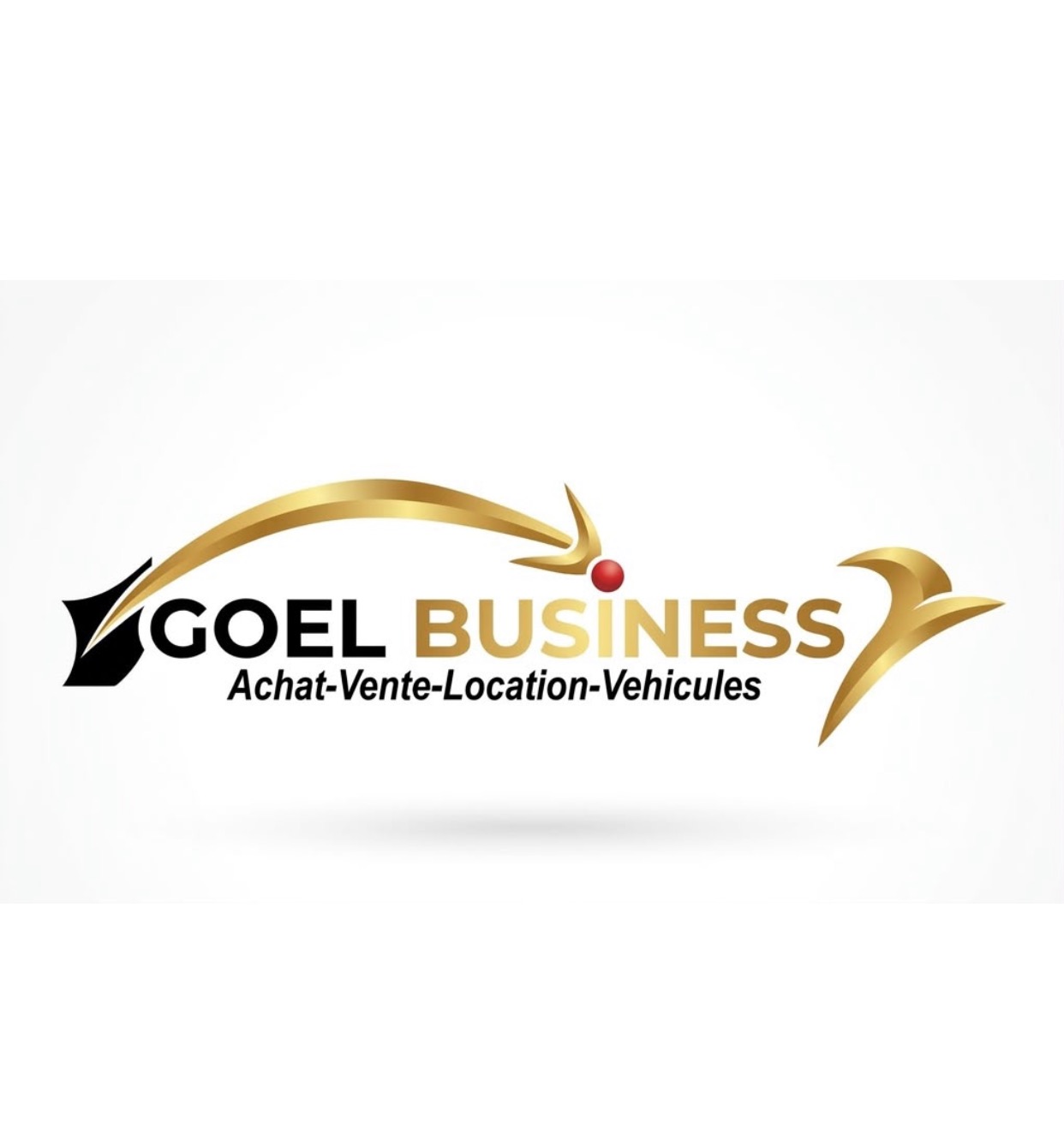 GOËL BUSINESS CAR 🚗