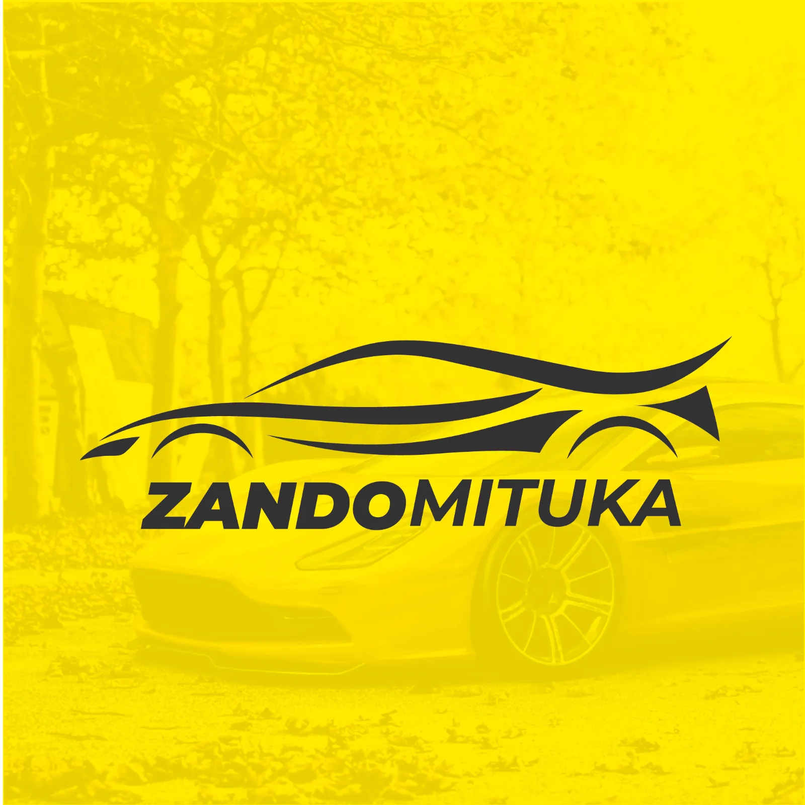 ZANDO MITUKA